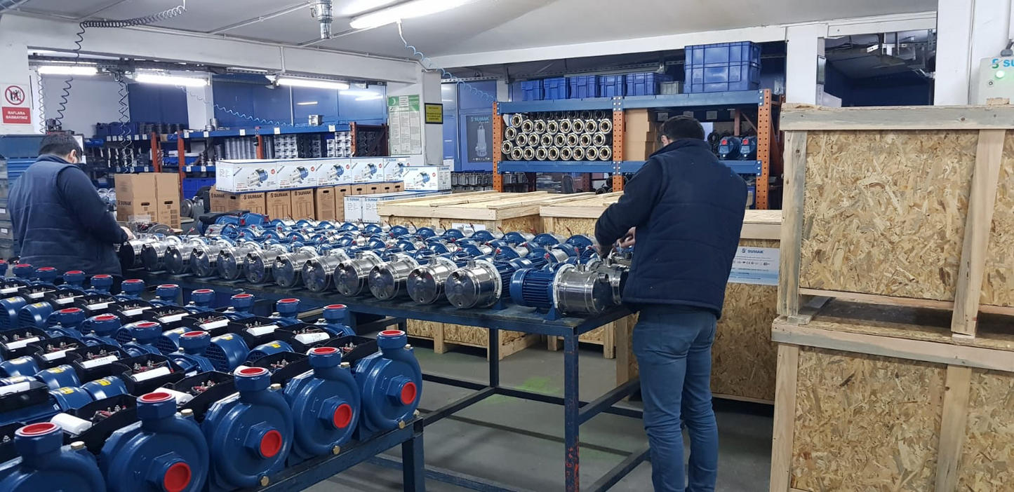 SCULESCU.RO Kit Hidrofor 24L cu pompa apa submersibila 0.75KW, 108m, 2.4m3/Ora, Liderman-Maxima 4QGD-0.75, Sistem premium complet, POZA 4