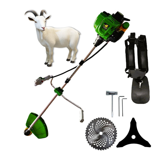 SCULESCU.RO Motocositoarea KAPRA, Motor 4 Timpi, 6CP, Disc Vidia SI Stea, 52cc, VERDE, POZA 1